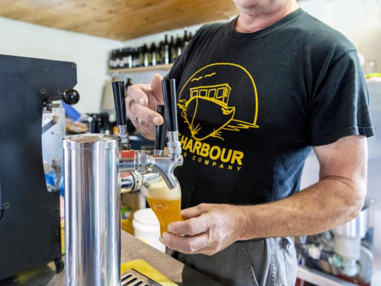 The Harbour Brewing Company