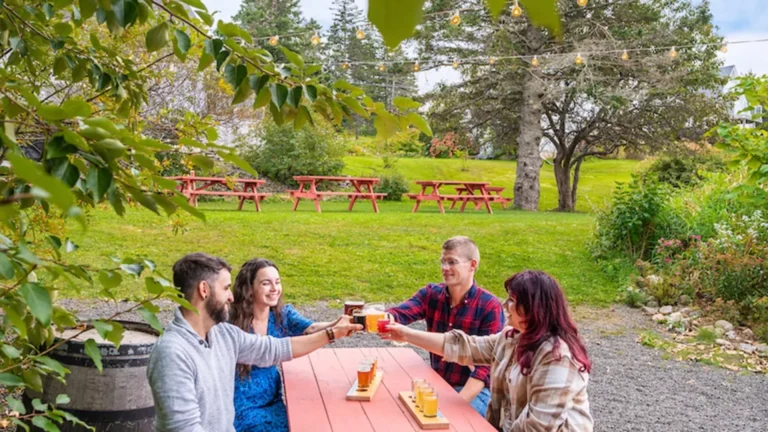 Lazy Bear Brewing