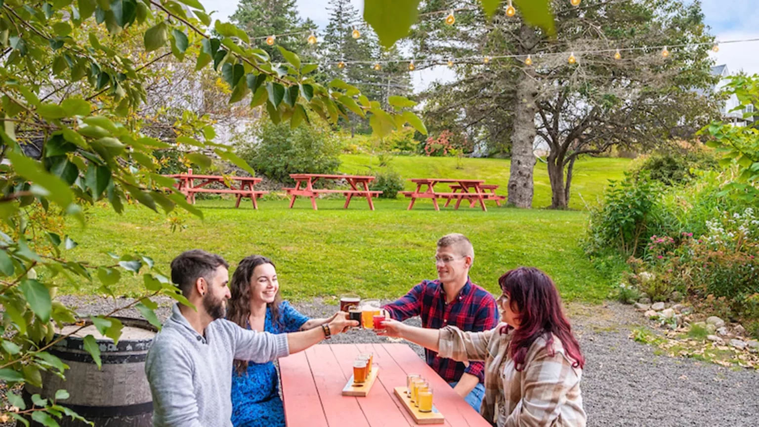 Lazy Bear Brewing