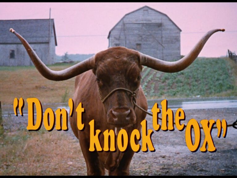 Don’t Knock the Ox