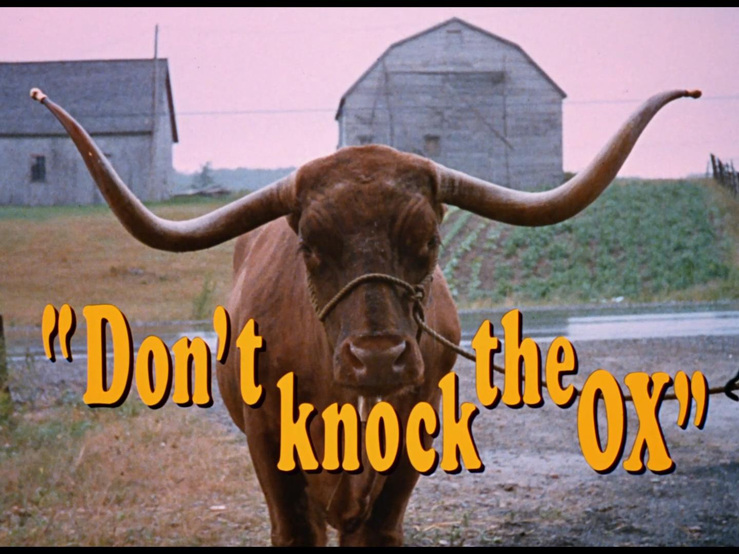 Don’t Knock the Ox
