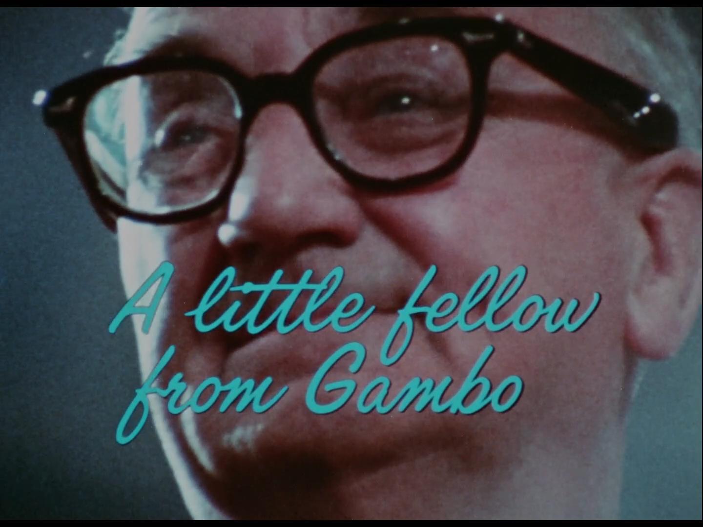 A Little Fellow from Gambo